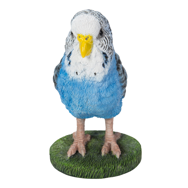 揺れる青いセキセイインコ