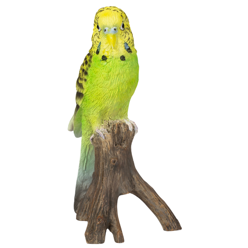 ミニセキセイインコ 黄緑