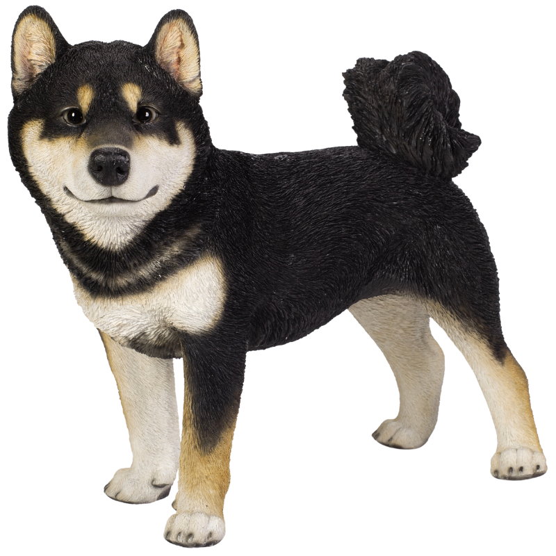 左向きに立つ黒柴犬(大)