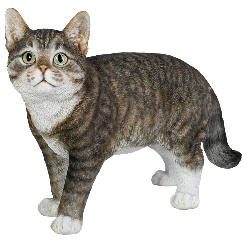 歩くサバトラ猫(大)