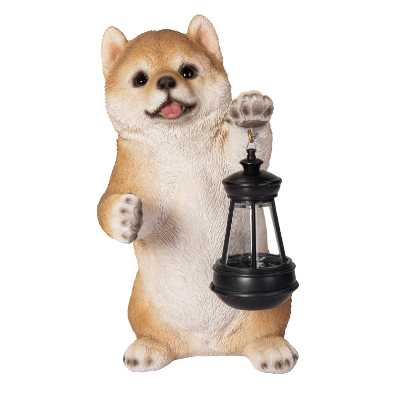 ソーラーランプを左手で持ち上げる柴犬