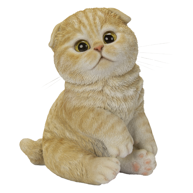 スコ座りスコティッシュフォールドたれ耳茶トラ｜WooBia公式オンライン