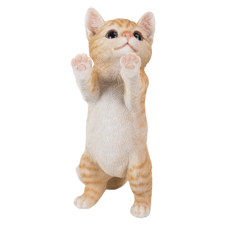 見上げる茶トラ白猫|WooBia公式オンラインショップ – WooBia 見上げる茶トラ白猫|WooBia公式オンラインショップ – WooBia