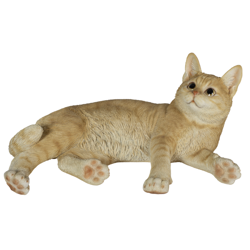 横たわるダークビスケットとら猫
