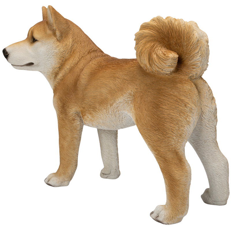 左向きに立つ柴犬(大)