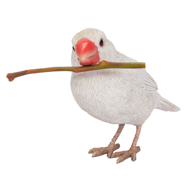 白文鳥｜WooBia公式オンラインショップ – WooBia（ウービア