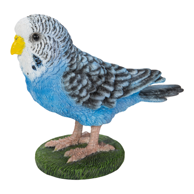 揺れる青いセキセイインコ