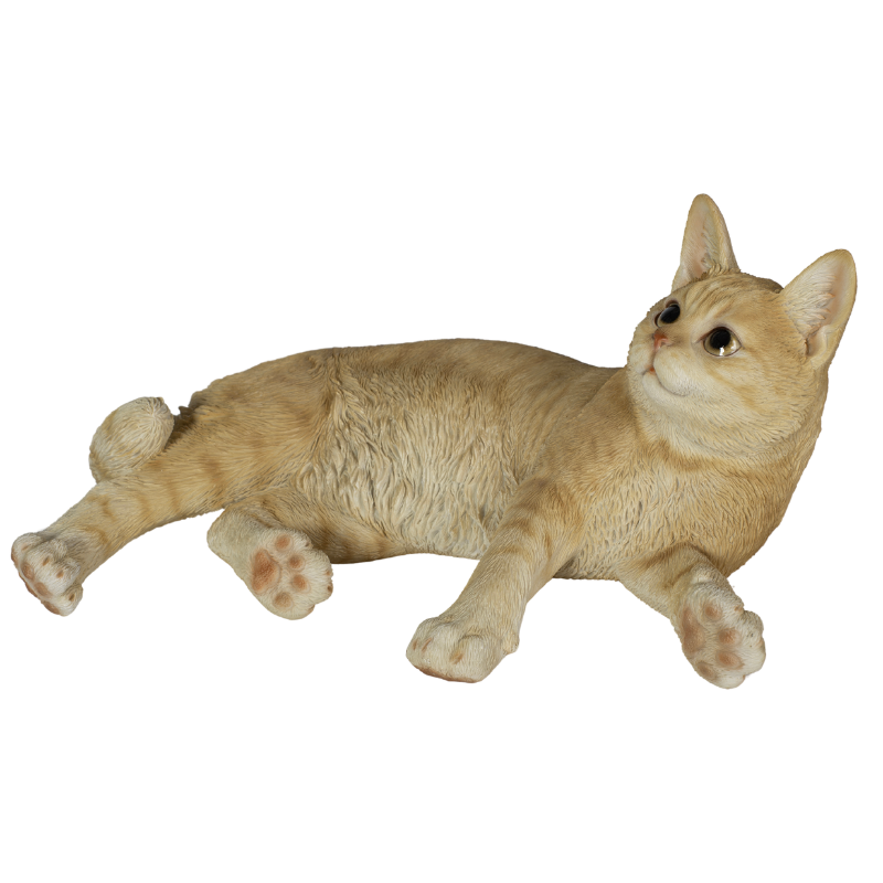 横たわるダークビスケットとら猫