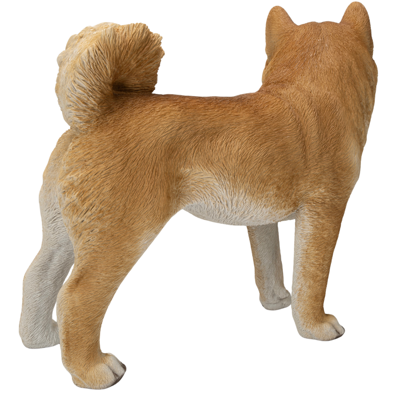 左向きに立つ柴犬(大)
