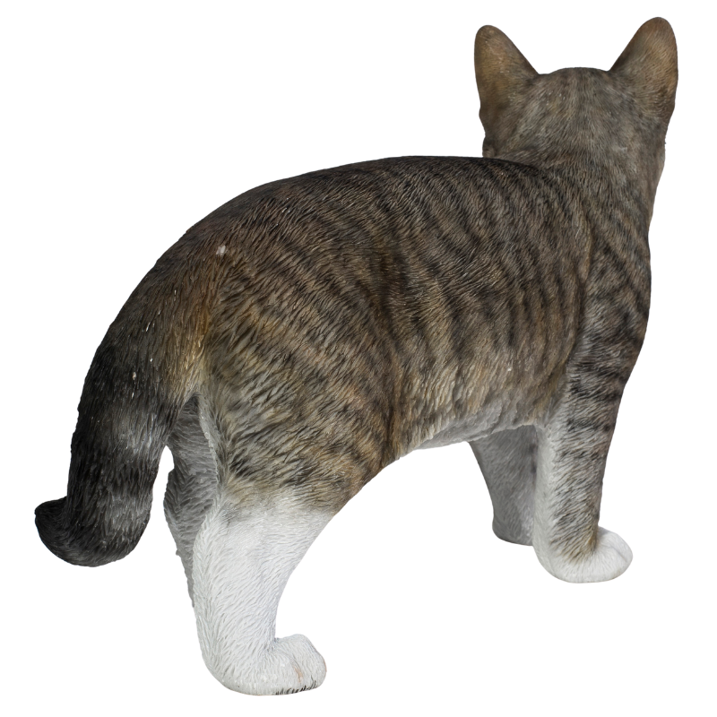 歩くサバトラ猫(大)