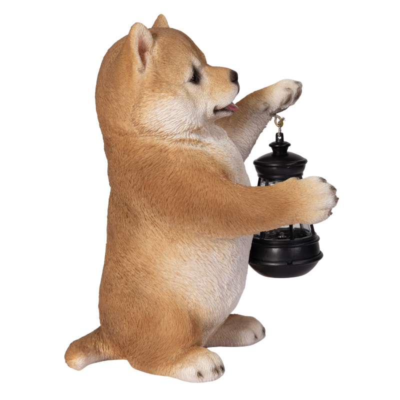 ソーラーランプを左手で持ち上げる柴犬