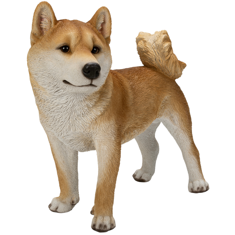 左向きに立つ柴犬(大)