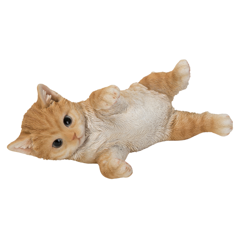 横向きでじゃれる茶トラ猫