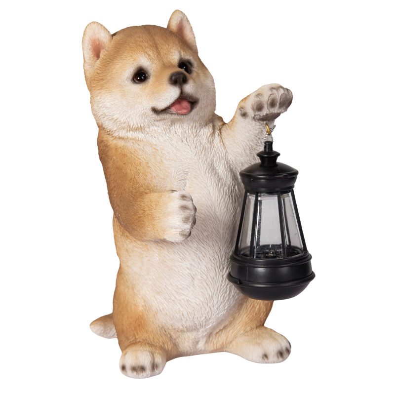 ソーラーランプを左手で持ち上げる柴犬