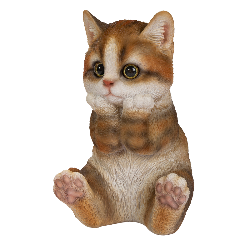 頬杖をつくキジトラ白猫