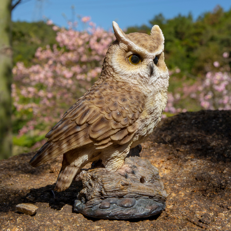小さな切り株にとまるミミズク