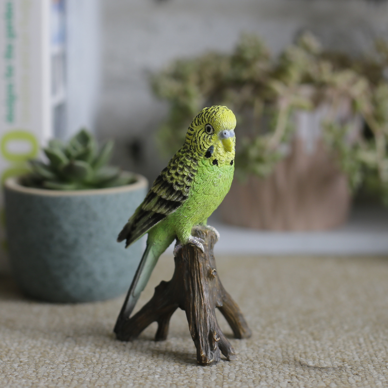 ショップ セキセイインコ スパングル緑色 メス 1611222