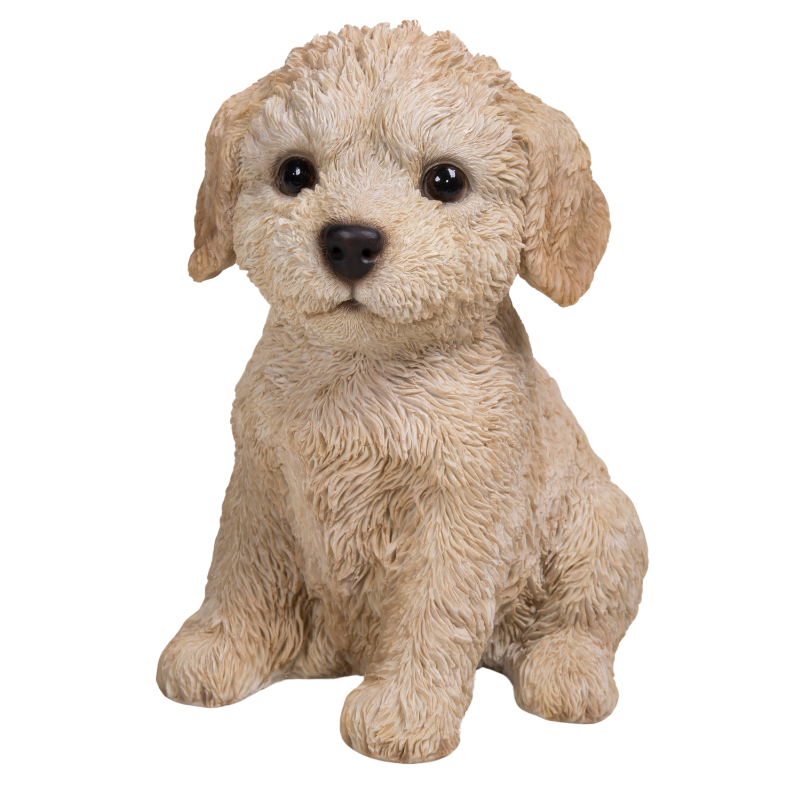 お座りプードル子犬｜WooBia公式オンラインショップ – WooBia