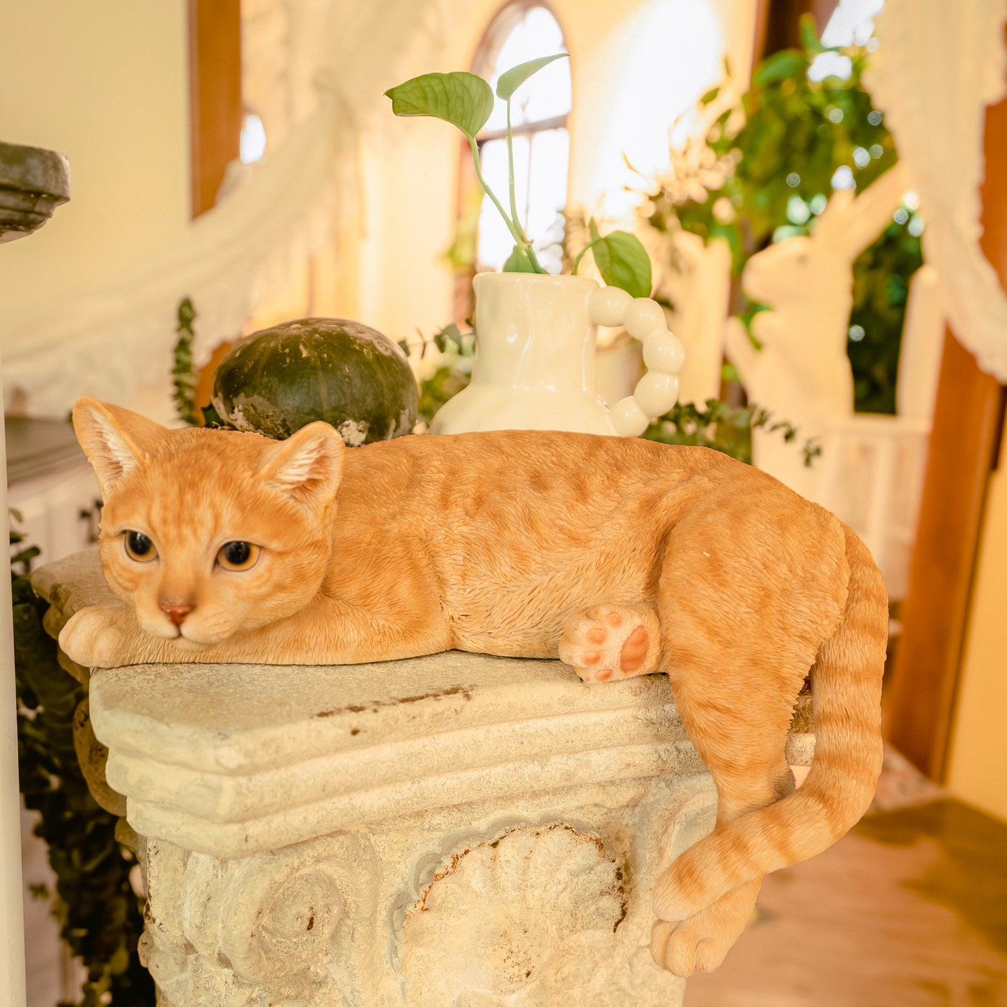 横たわるダークビスケット猫