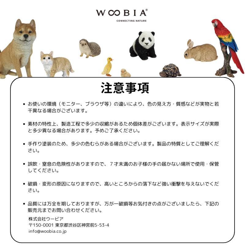 しゃがむ白ウサギ