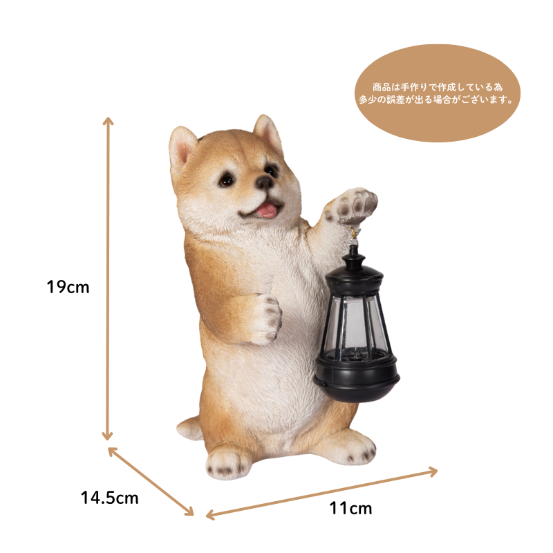 ソーラーランプを左手で持ち上げる柴犬
