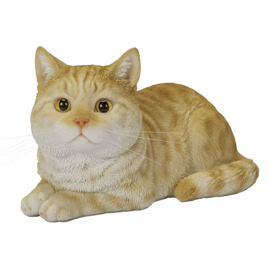 寝そべる茶トラ猫
