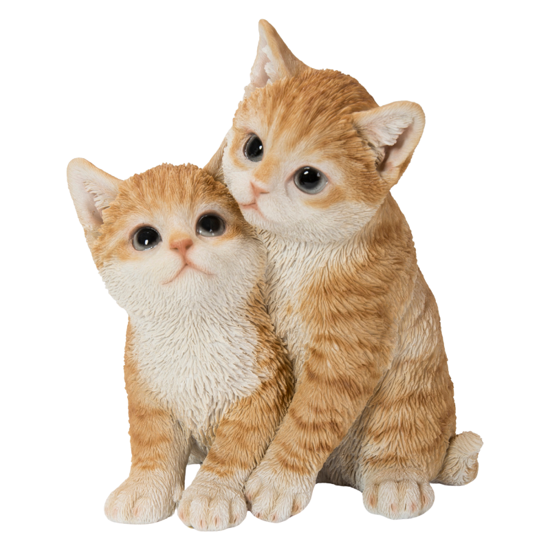 寄り添う茶トラ猫