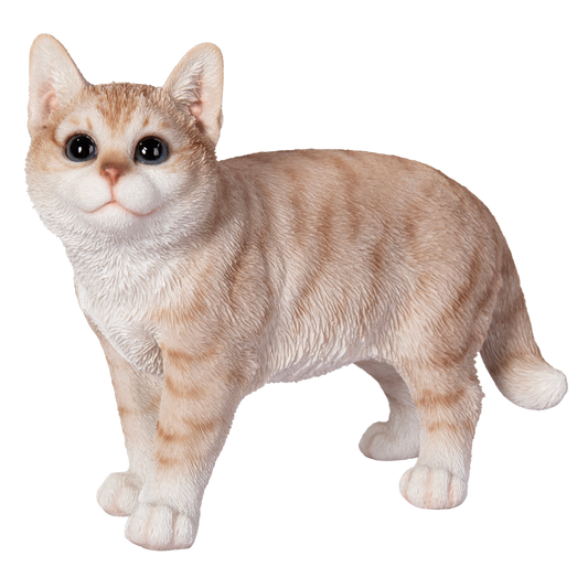 歩くミルクティー猫
