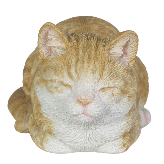 寝るビスケットとら猫のガーデンピック