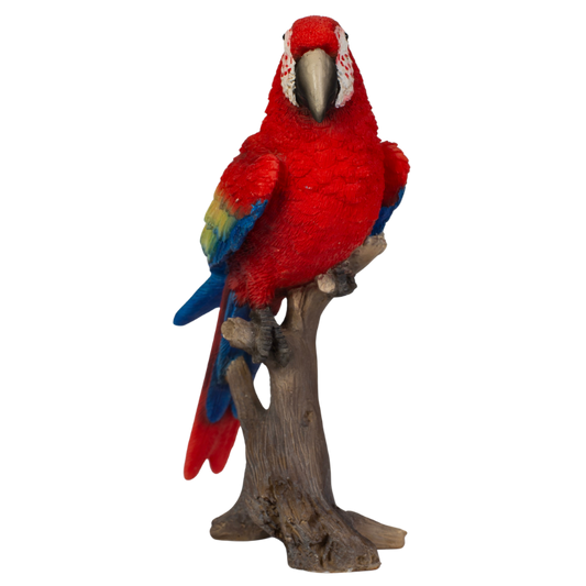 ミニコンゴウインコ レッド