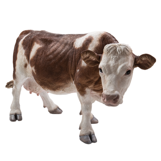立っている牛 ブラウン(特大)
