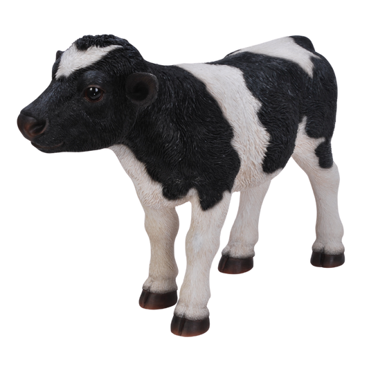 立ち止まる黒白牛（中）