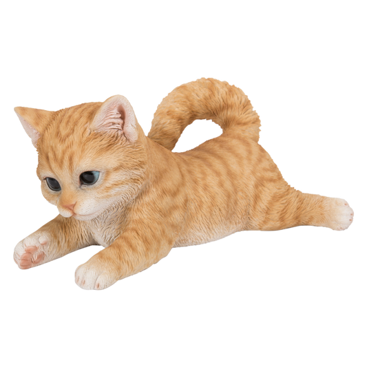 じゃれる茶トラ子猫