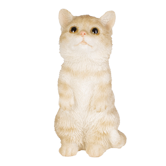 立っているマンチカン（ミニ）