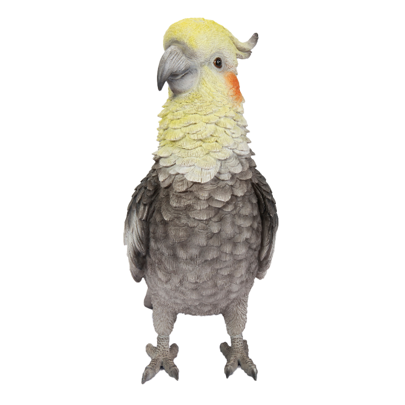 オカメインコ｜WooBia公式オンラインショップ – WooBia（ウービア ）｜公式オンラインストア