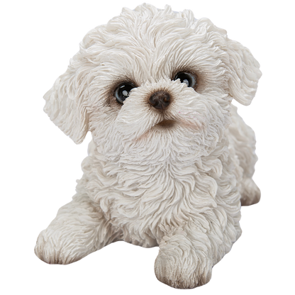 見上げるマルチーズ 白|WooBia公式オンラインショップ – WooBia 見上げるマルチーズ 白|WooBia公式オンラインショップ – WooBia