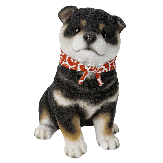 おかえり豆黒柴犬（大）