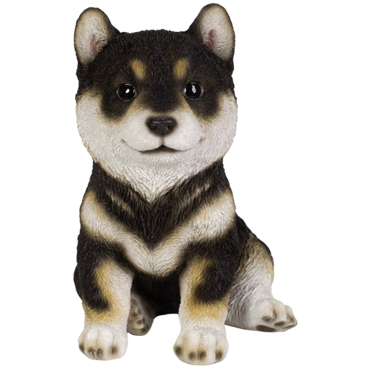 お座り黒柴犬
