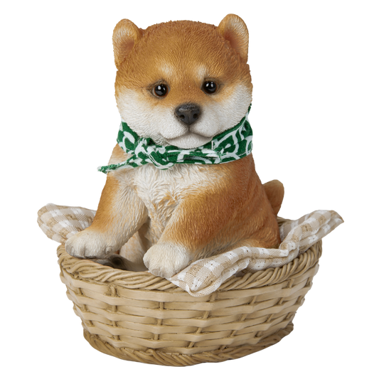 竹かご豆柴犬