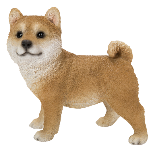 左向き子柴犬