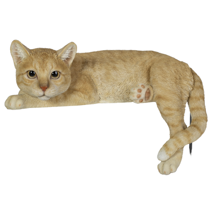 横たわるダークビスケット猫