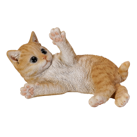 じゃれる茶トラ子猫