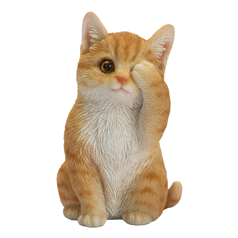 見ざる茶トラ猫