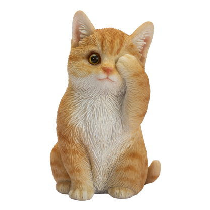 見ざる茶トラ猫