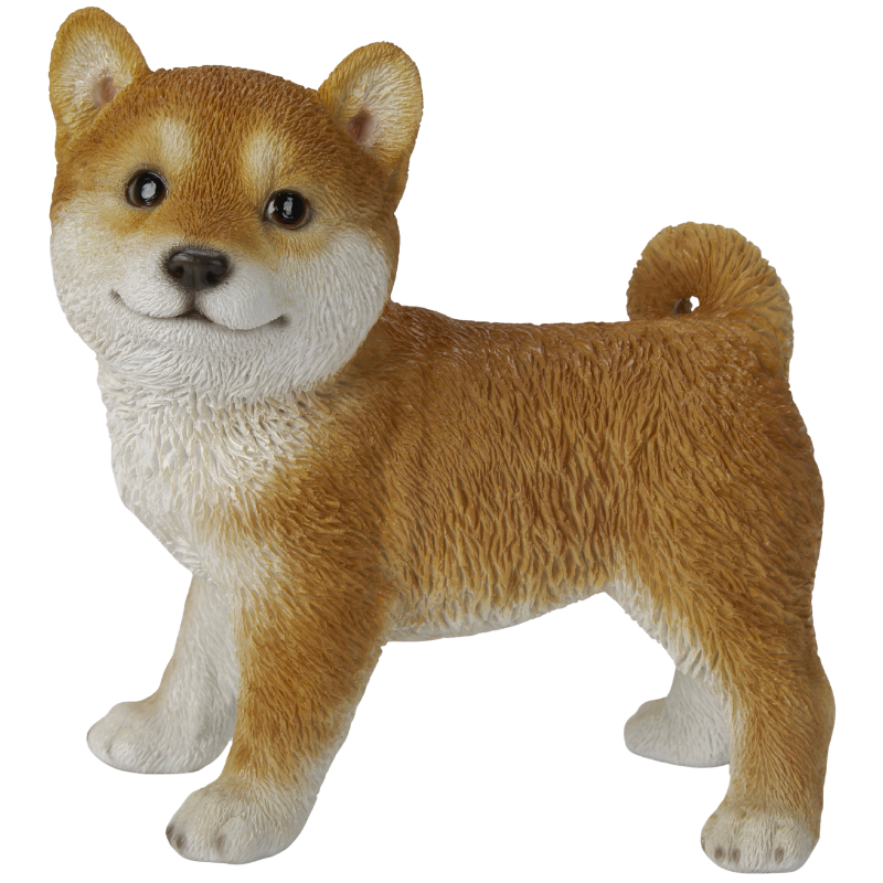横向き柴犬