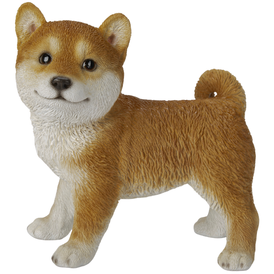 横向き柴犬