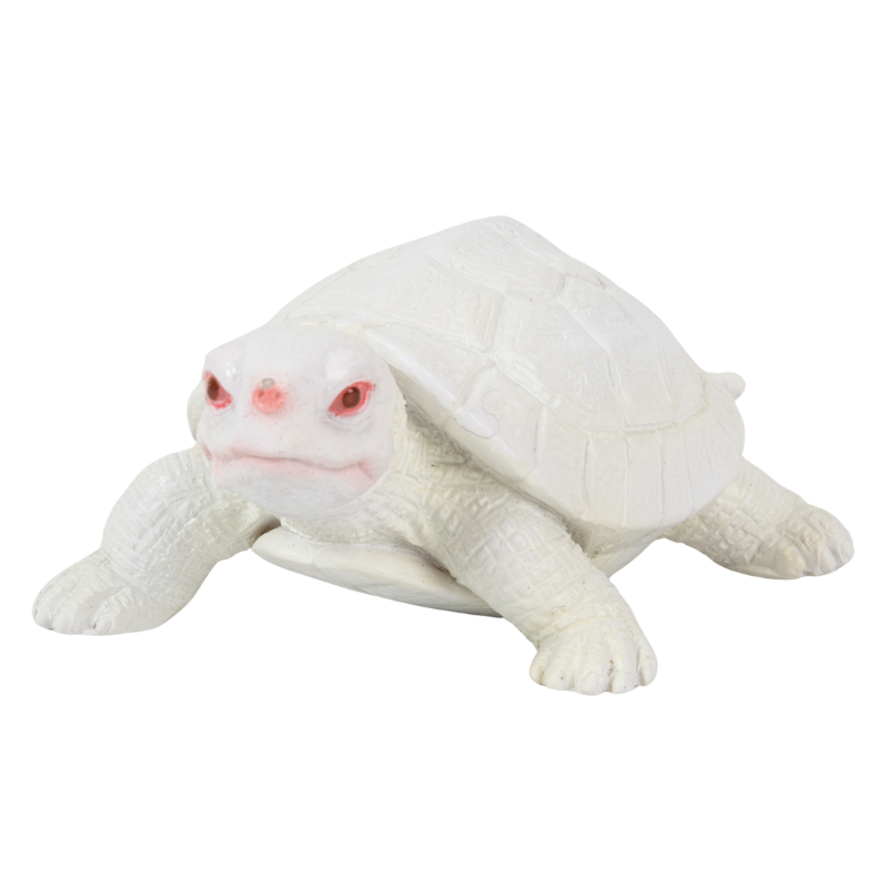 カメの文鎮マグネット 白
