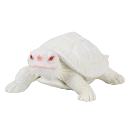 カメの文鎮マグネット 白