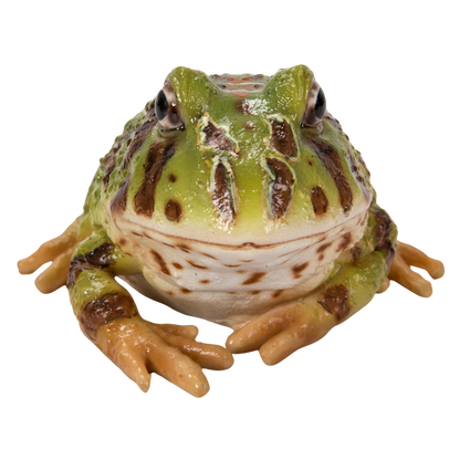 寝そべるツノガエル 緑