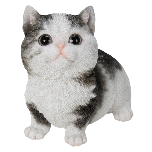 お座りマンチカン黒ぶち